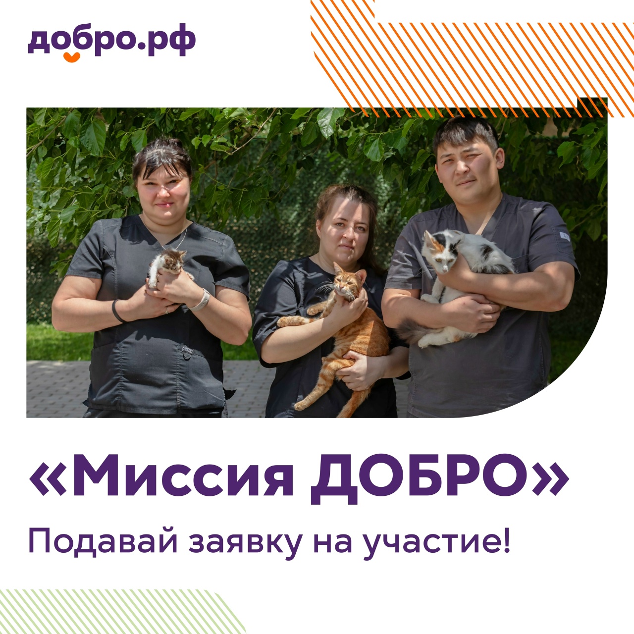 Программа международная волонтерская программа «Миссия Добро».