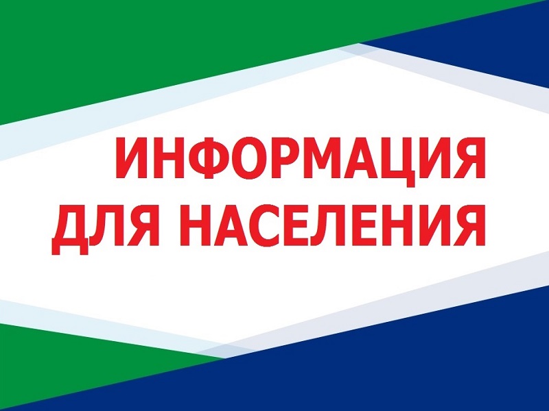 В Кирово-Чепецке пройдет обработка от клещей парков, территорий общего пользования и кладбищ.