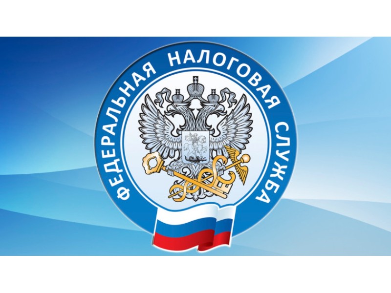 Почти 95 тысяч кировчан развивают бизнес в статусе самозанятого.