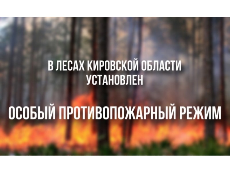 В лесах Кировской области установлен особый противопожарный режим.