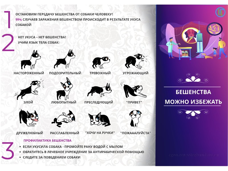 Всемирный день борьбы с бешенством.