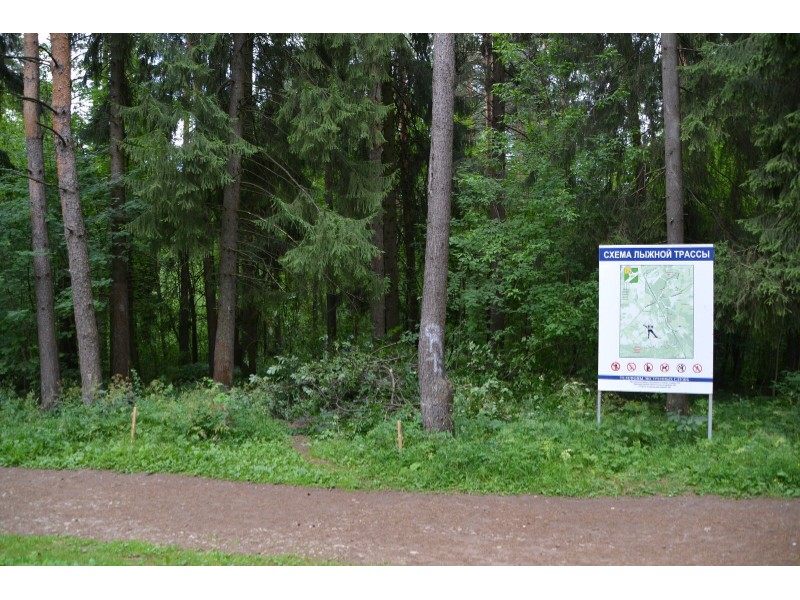 В Кирово-Чепецке появится «Тропа здоровья».