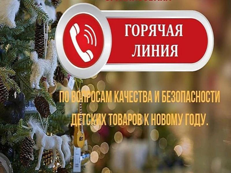 Горячая линия по вопросам качества и безопасности детских товаров к Новому году.