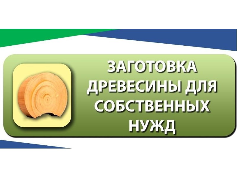 Министерство лесного хозяйства Кировской области напоминает.