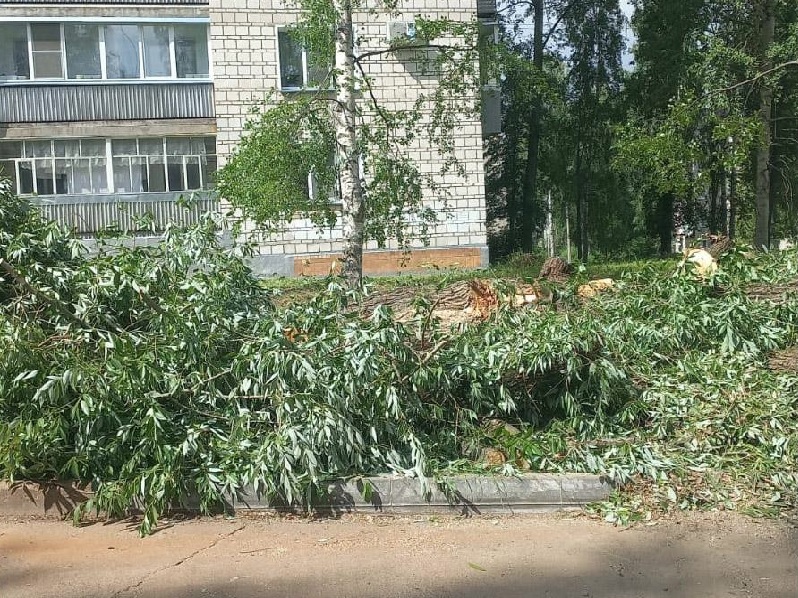 В Кирово-Чепецке продолжается снос аварийных деревьев, на которые в своих обращениях указывали жители города.