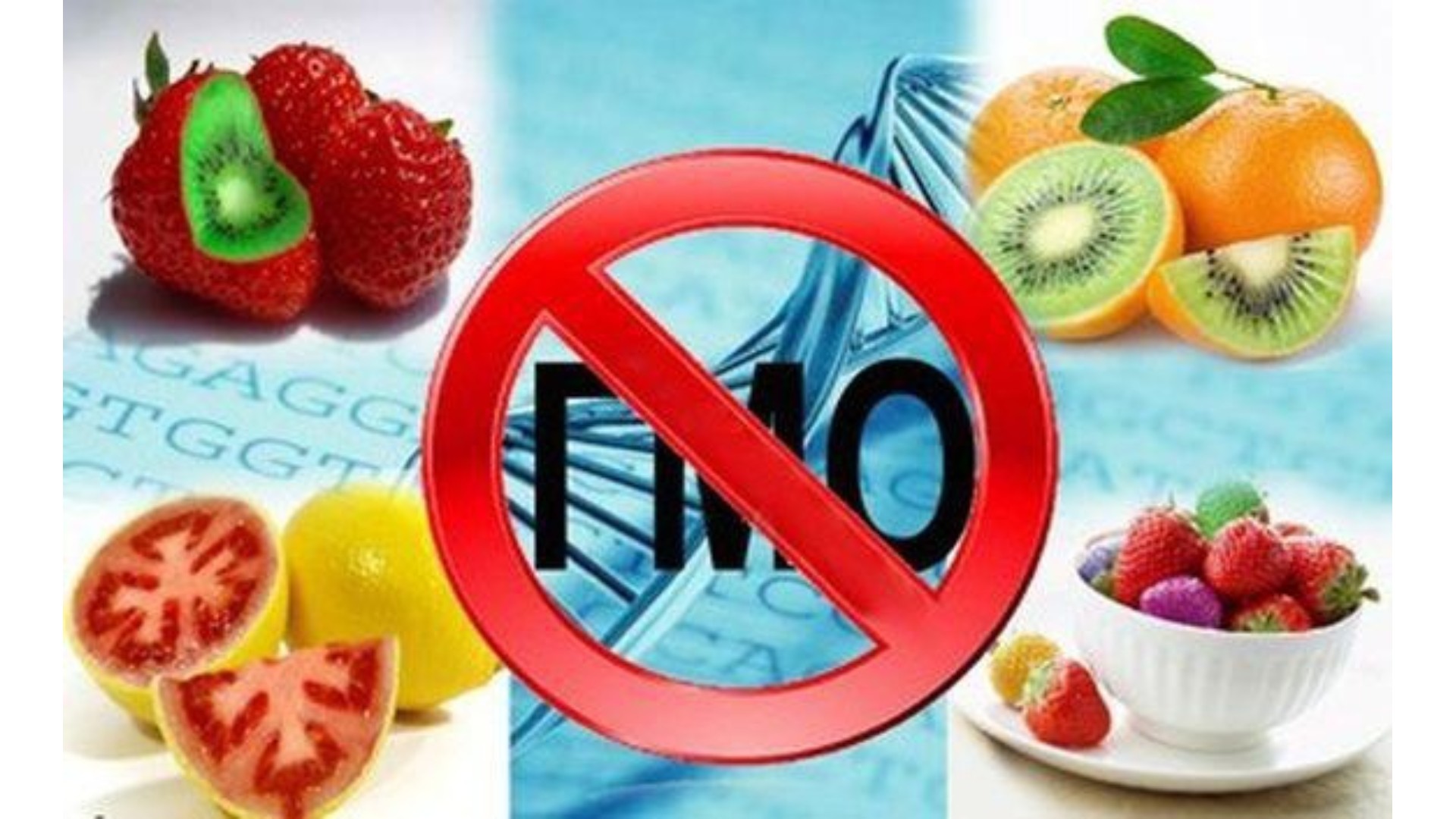 Международный день действий против генетически модифицированных продуктов и организмов.
