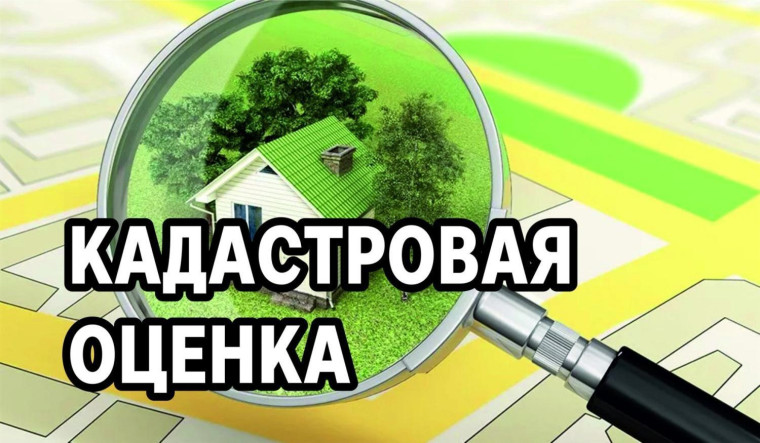 Кадастровая оценка. Кадастровая оценка.