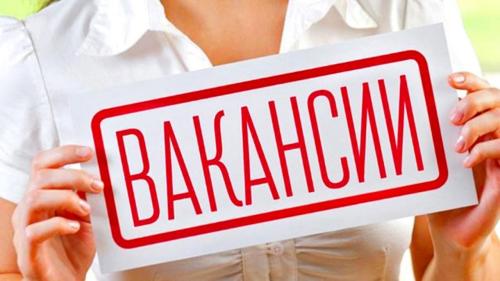 Вакансии. В администрацию муниципального образования «Город Кирово-Чепецк» Кировской области требуются:. Вакансии. В администрацию муниципального образования «Город Кирово-Чепецк» Кировской области требуются:.