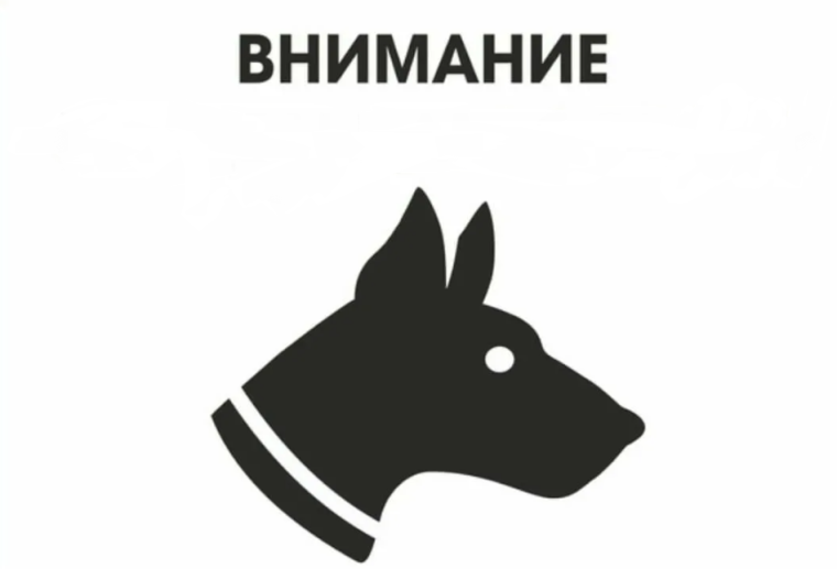 Об организации отлова животных без владельцев в 2023 году на территории Кировской области. Об организации отлова животных без владельцев в 2023 году на территории Кировской области.