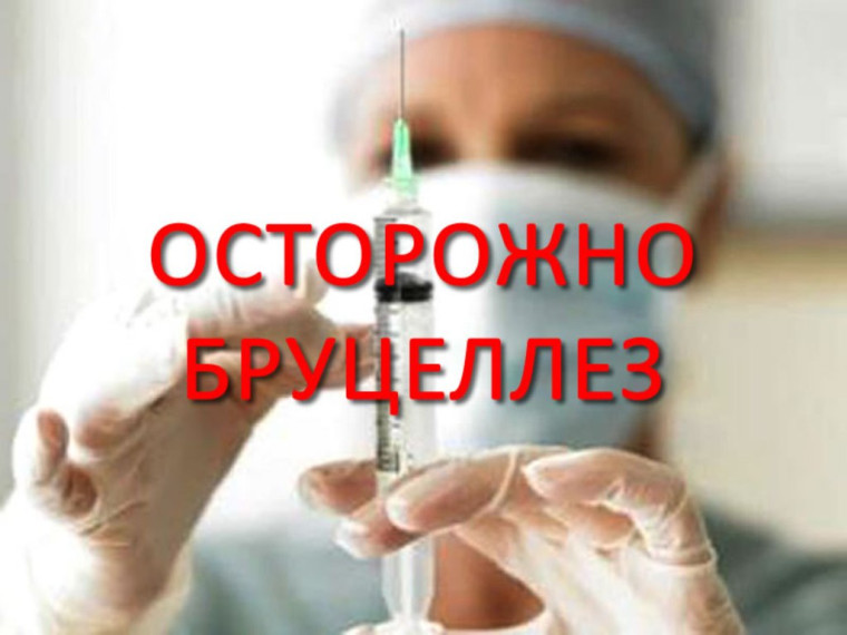 Обострение ситуации по бруцеллезу. Обострение ситуации по бруцеллезу.