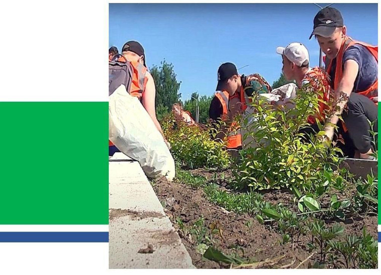 Летнее трудоустройство подростков. Летнее трудоустройство подростков.