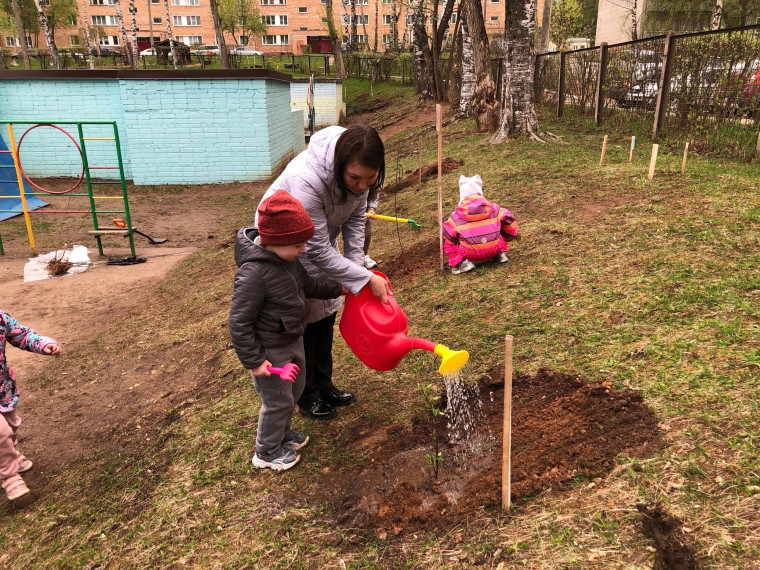 Детский сад 14 г. Кирово-Чепецка продолжает участвовать в акции Сад Памяти.